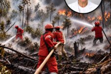 Singapura Sorot Perusahaan RI Terkait Kabut Asap, Suratnya Berisi Permintaan Pencegahan dan Penanganan, Bukan Vonis Penyebab Karhutla