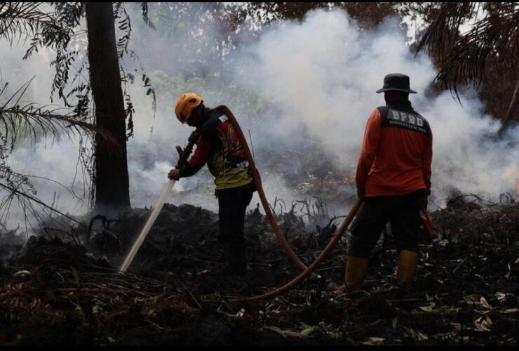 BPBD Kalbar Temukan 239 Titik Panas di Ketapang dan Kayong Utara
